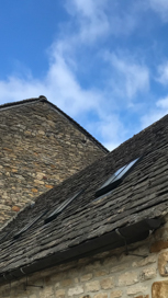 a roof with bat roost potential