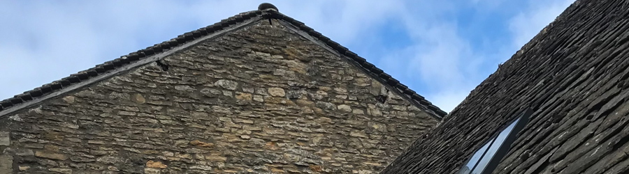 a roof with bat roost potential