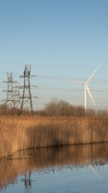 a wetland with wind turbine in background